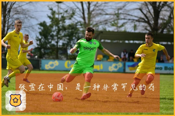 张雪在中国，是一种非常罕见的存在