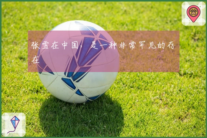 张雪在中国，是一种非常罕见的存在