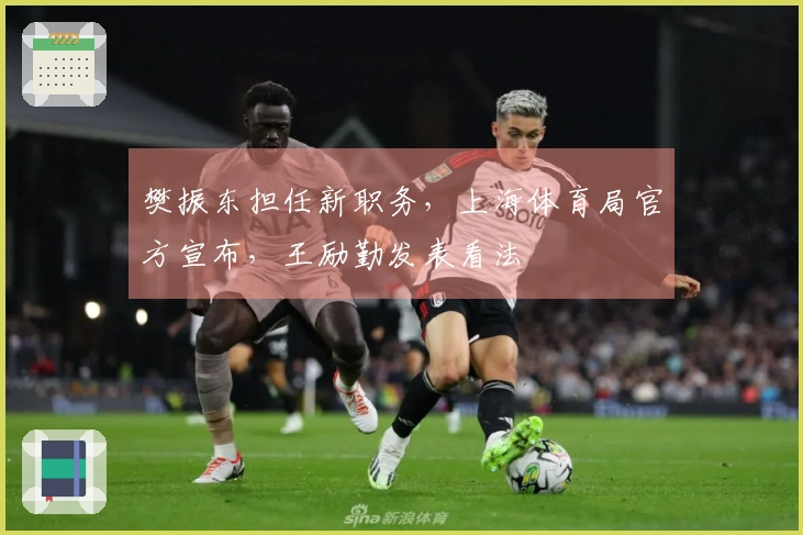 樊振东担任新职务，上海体育局官方宣布，王励勤发表看法